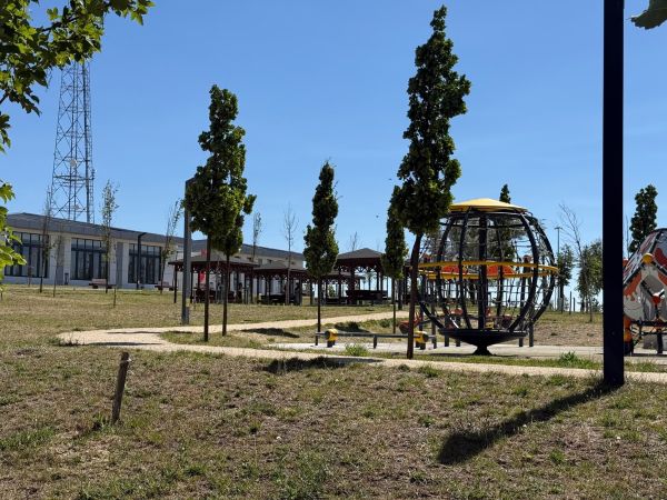 millet bah&ccedil;esi1