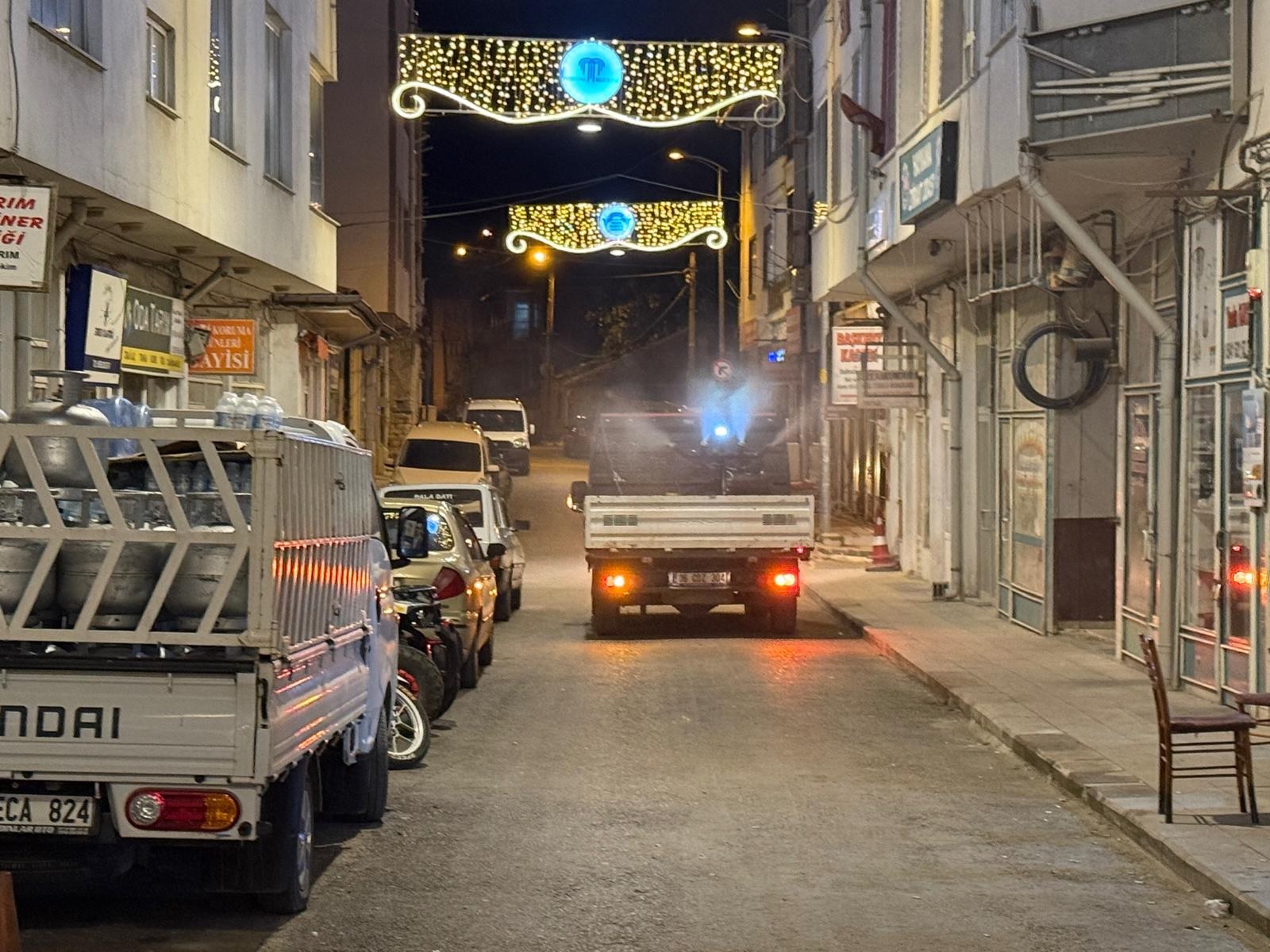 SİNEKLER CAM AÇTIRMIYOR!