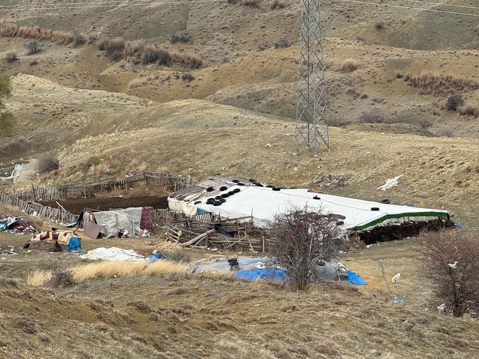 HAYVAN HIRSIZLARI İŞ BAŞINDA:  87 KÜÇÜKBAŞ ÇALINDI